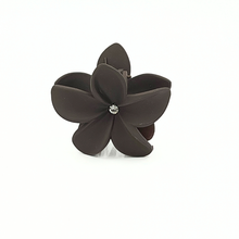 Ladda upp bild till gallerivisning, Araliyaclips Dark Brown
