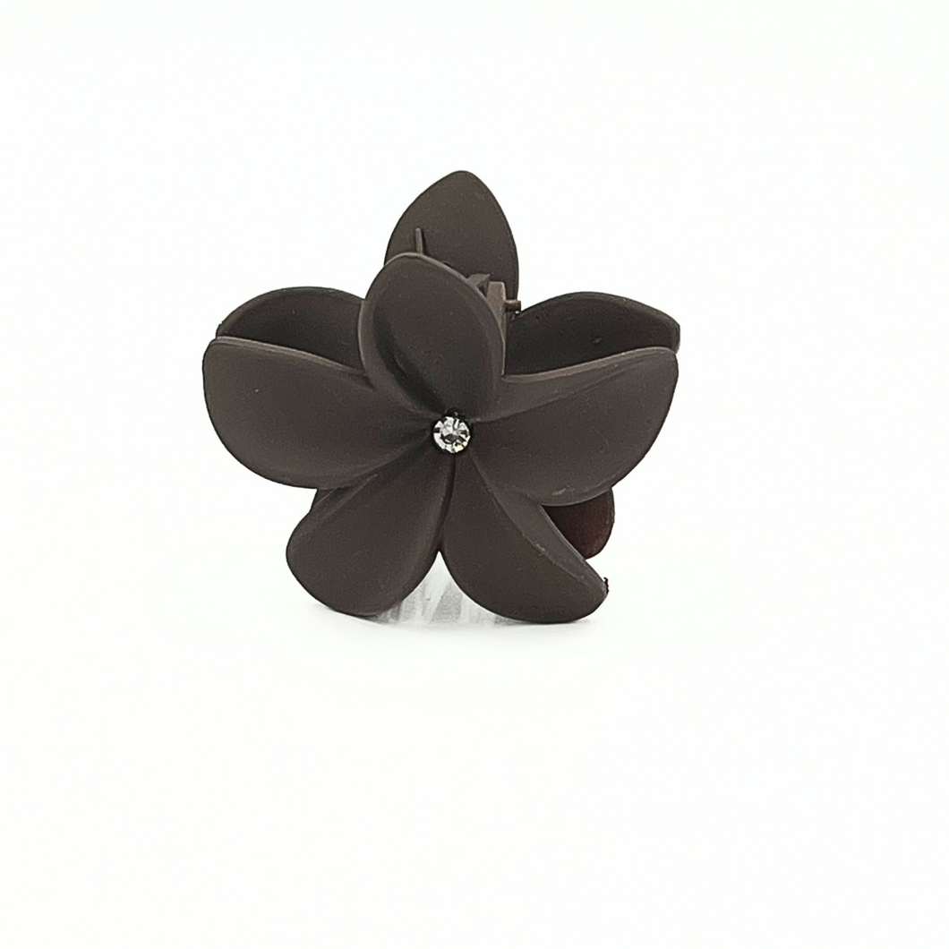 Araliyaclips Dark Brown