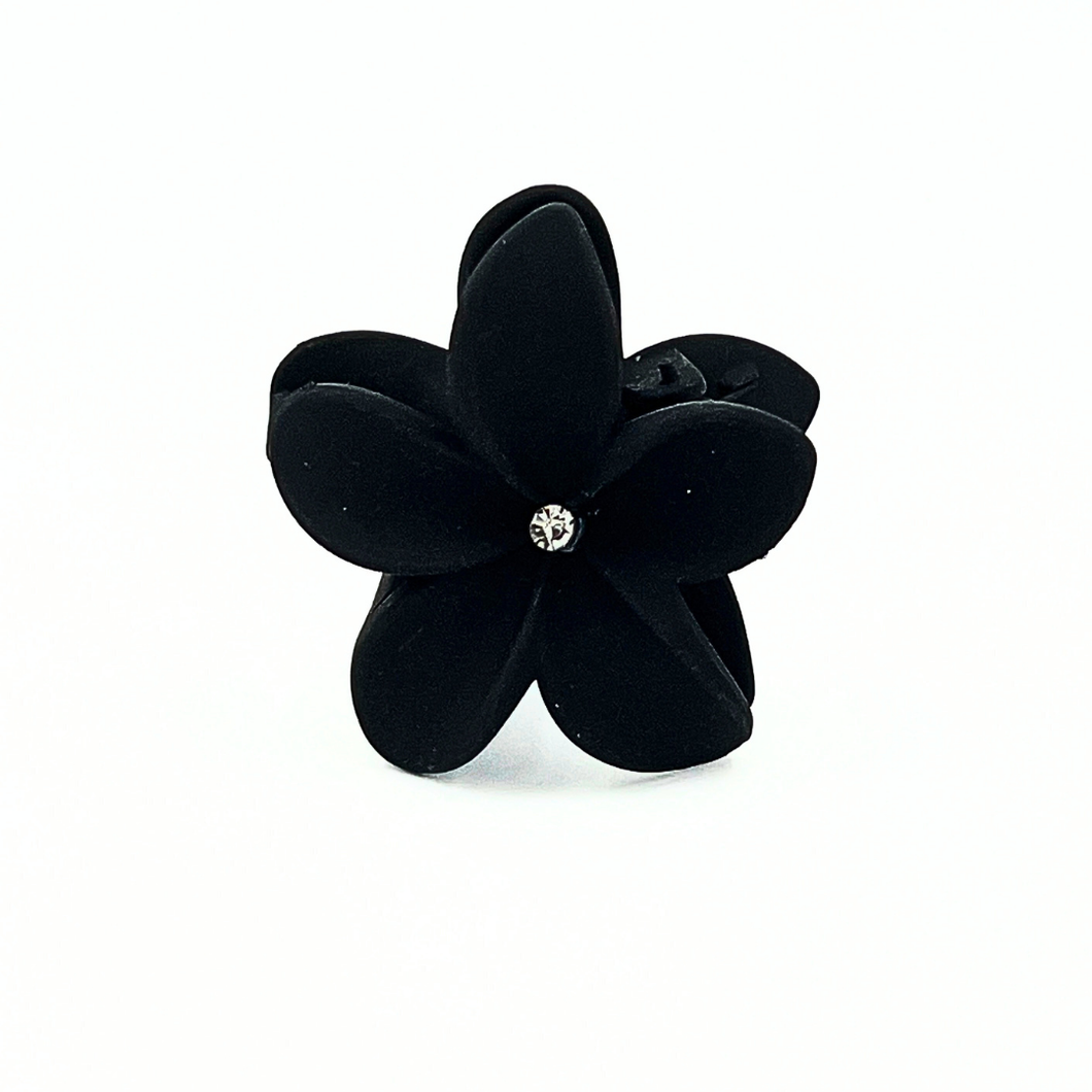 Araliya Black