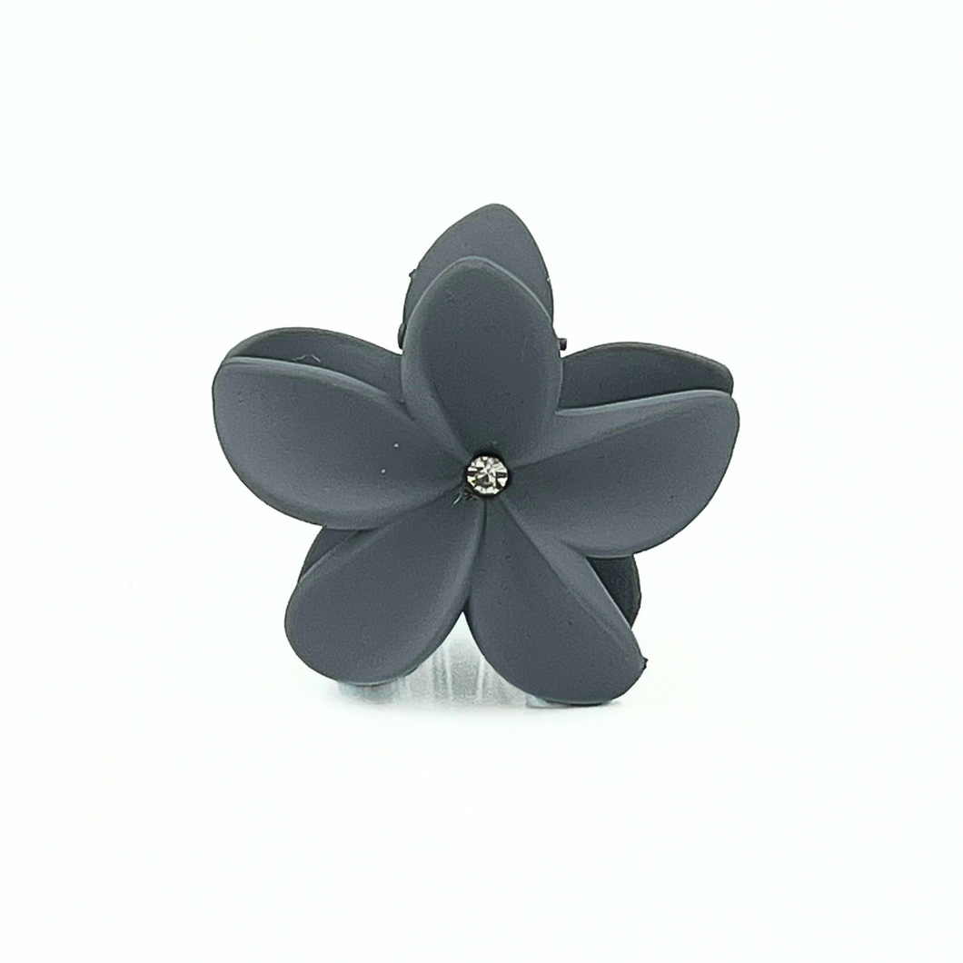 Araliyaclips Grey