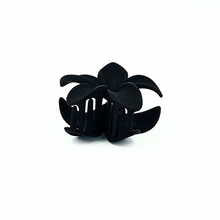 Ladda upp bild till gallerivisning, Araliya Black
