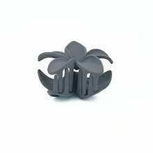 Ladda upp bild till gallerivisning, Araliyaclips Grey
